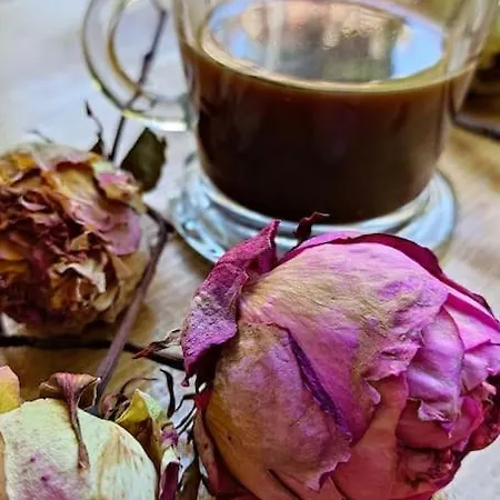 Rustico Con Giardino E Parcheggio Gratuito Apartman