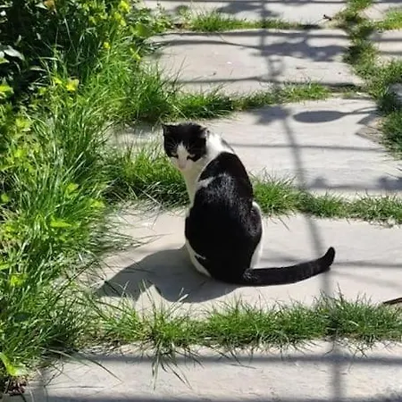 Rustico Con Giardino E Parcheggio Gratuito * Imperia