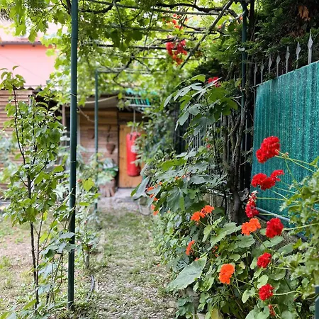 Apartment Rustico Con Giardino E Parcheggio Gratuito