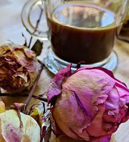 Rustico Con Giardino E Parcheggio Gratuito Lägenhet