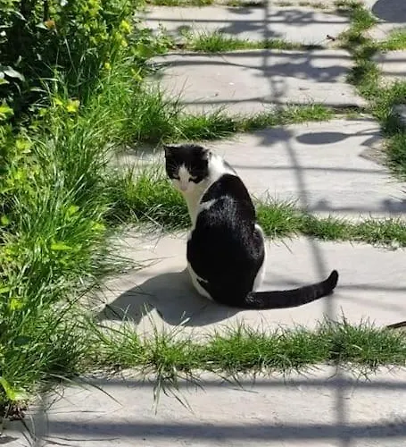 Rustico Con Giardino E Parcheggio Gratuito * Imperia
