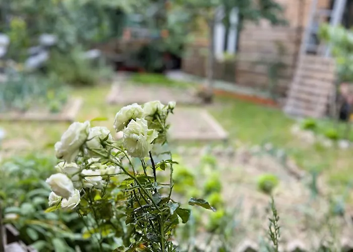 Rustico Con Giardino E Parcheggio Gratuito * Imperia