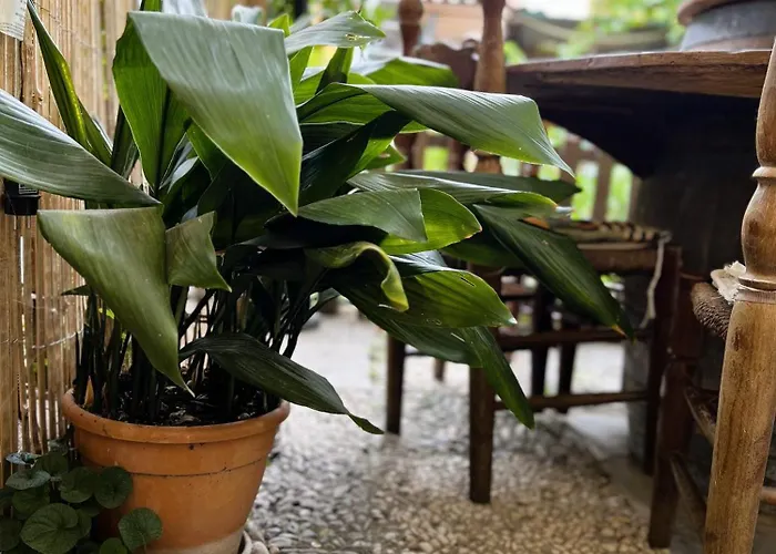 Rustico Con Giardino E Parcheggio Gratuito Lägenhet