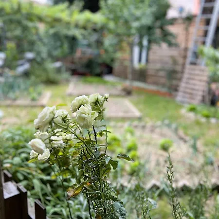 Rustico Con Giardino E Parcheggio Gratuito * Imperia